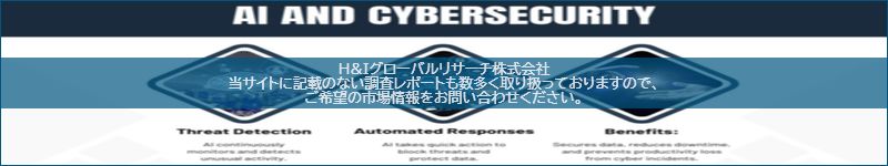 市場調査レポートのイメージ