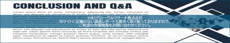 市場調査レポートのイメージ