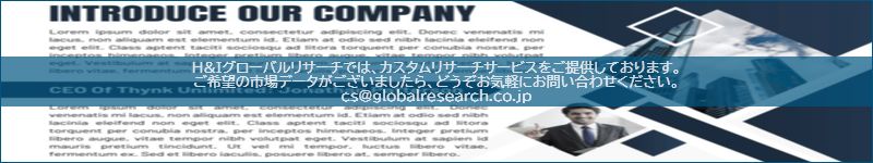 市場調査レポートのイメージ
