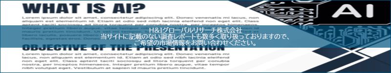 市場調査レポートのイメージ