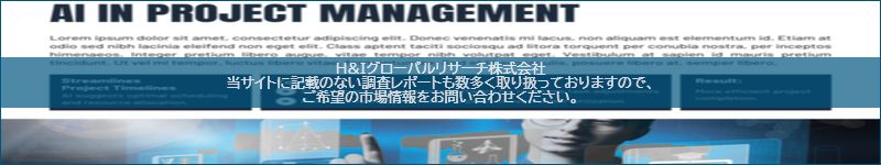 市場調査レポートのイメージ