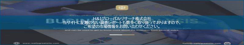 市場調査レポートのイメージ