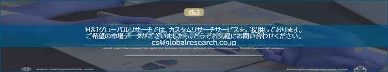 市場調査レポートのイメージ