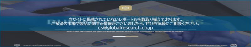 市場調査レポートのイメージ