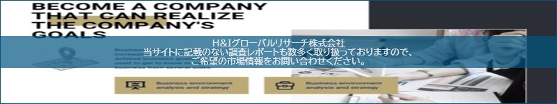 市場調査レポートのイメージ