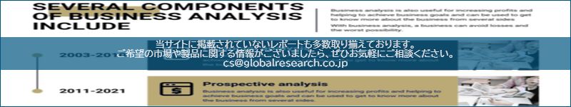 市場調査レポートのイメージ