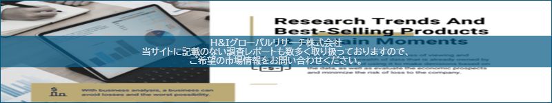 市場調査レポートのイメージ