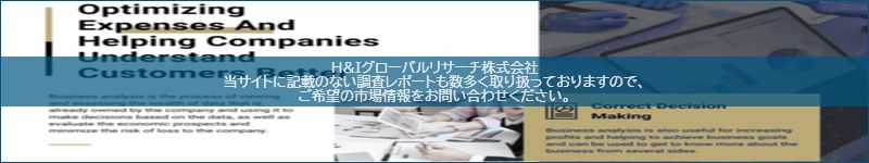 市場調査レポートのイメージ