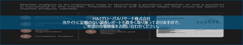 市場調査レポートのイメージ