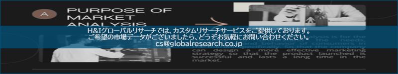 市場調査レポートのイメージ