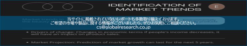 市場調査レポートのイメージ