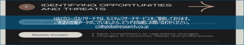 市場調査レポートのイメージ