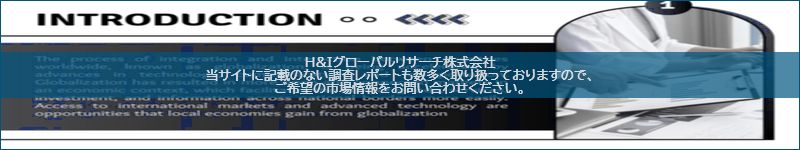 市場調査レポートのイメージ
