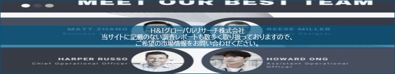市場調査レポートのイメージ