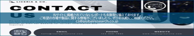 市場調査レポートのイメージ