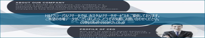 市場調査レポートのイメージ