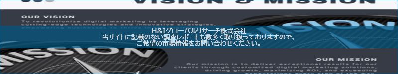 市場調査レポートのイメージ