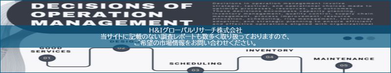 市場調査レポートのイメージ