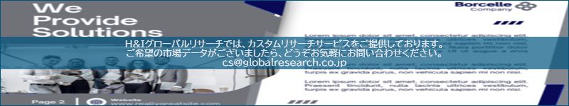 市場調査レポートのイメージ