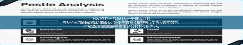 市場調査レポートのイメージ