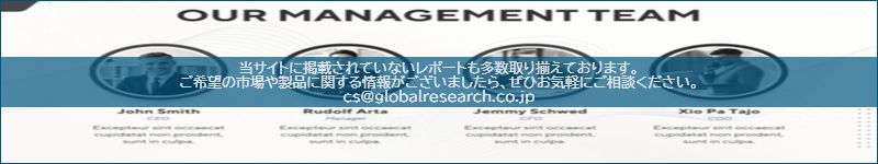 市場調査レポートのイメージ