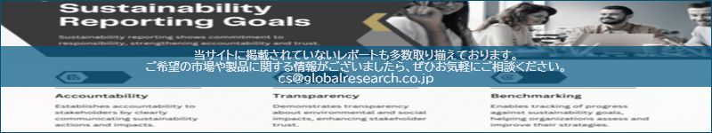 市場調査レポートのイメージ