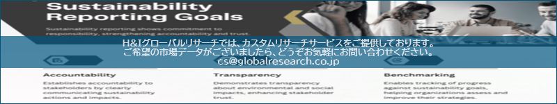 市場調査レポートのイメージ