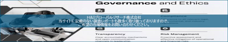 市場調査レポートのイメージ