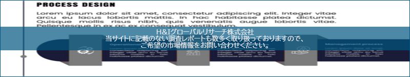 市場調査レポートのイメージ