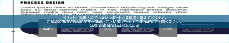 市場調査レポートのイメージ