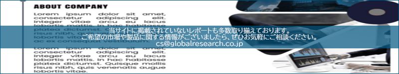 市場調査レポートのイメージ