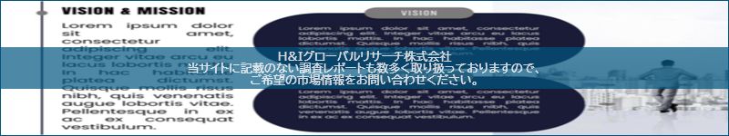 市場調査レポートのイメージ