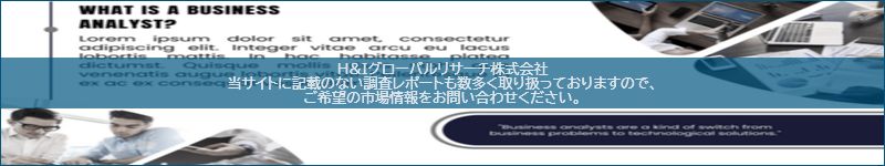 市場調査レポートのイメージ
