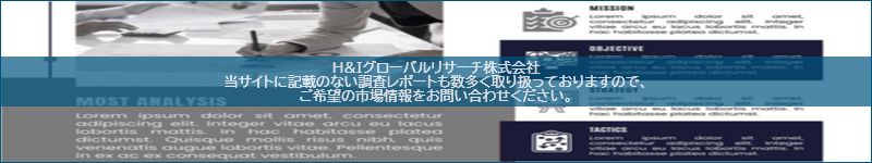 市場調査レポートのイメージ
