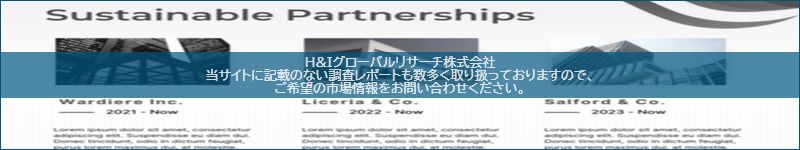 市場調査レポートのイメージ
