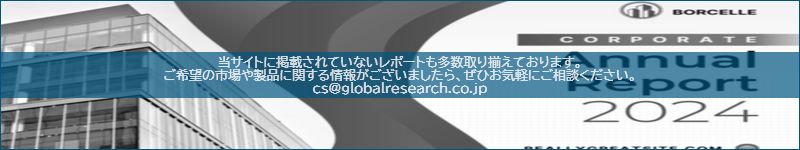 市場調査レポートのイメージ