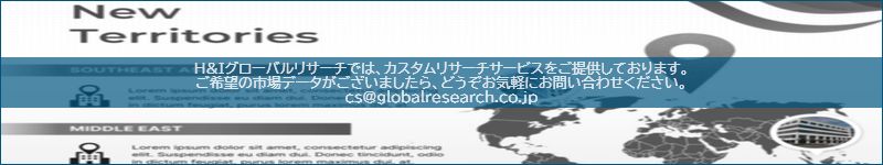 市場調査レポートのイメージ