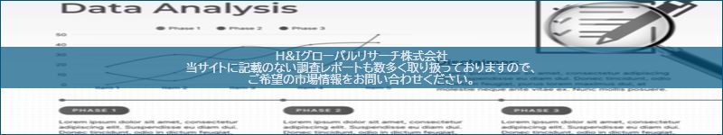 市場調査レポートのイメージ
