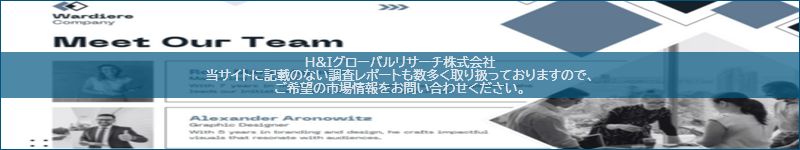 市場調査レポートのイメージ