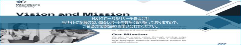 市場調査レポートのイメージ