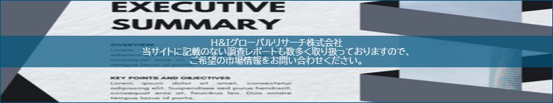 市場調査レポートのイメージ