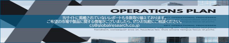 市場調査レポートのイメージ
