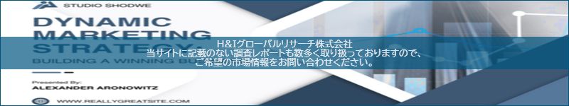 市場調査レポートのイメージ