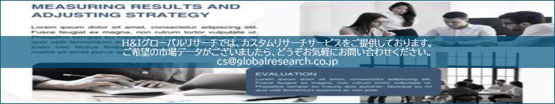 市場調査レポートのイメージ