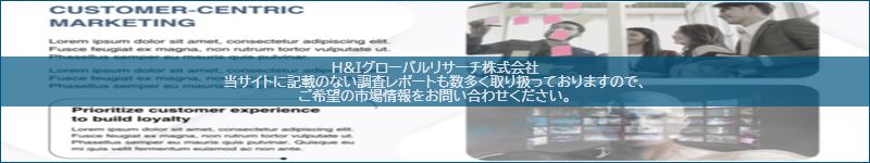 市場調査レポートのイメージ