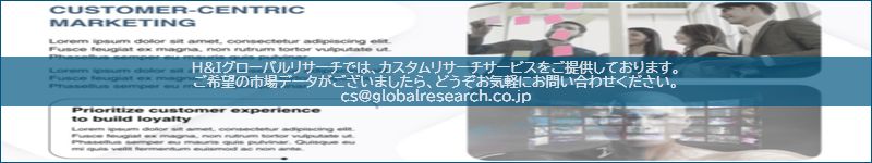 市場調査レポートのイメージ
