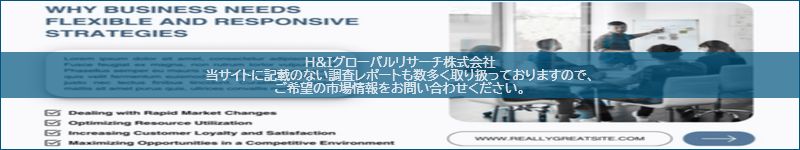 市場調査レポートのイメージ