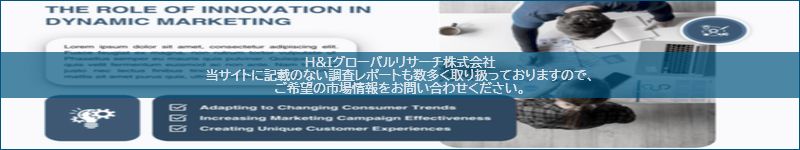 市場調査レポートのイメージ