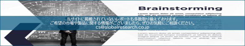 市場調査レポートのイメージ
