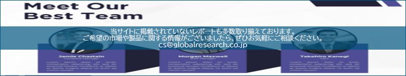 市場調査レポートのイメージ
